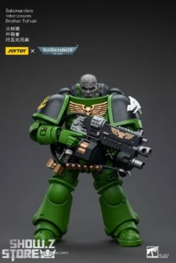 JoyToy Source 1/18 Warhammer 40K Salamanders Intercessors Brother Tol'vak -Action Figures Store 35fe86d3e9