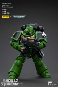 JoyToy Source 1/18 Warhammer 40K Salamanders Intercessors Brother Haecule -Action Figures Store ae967ec95f