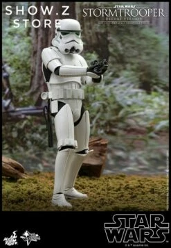 Hot Toys HT 1/6 Stormtrooper Storm Trooper MMS514 Star Wars Standard Version -Action Figures Store beb3ee9e18