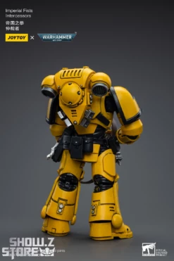 JoyToy Source 1/18 Warhammer 40K Imperial Fists Intercessors 17 JoyToy Source 1/18 Warhammer 40K Imperial Fists Intercessors -Action Figures Store c4f7101df4
