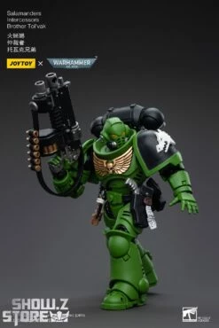 JoyToy Source 1/18 Warhammer 40K Salamanders Intercessors Brother Tol'vak -Action Figures Store d75a083f30