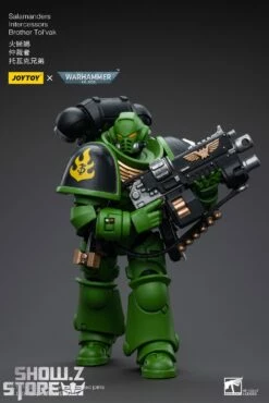 JoyToy Source 1/18 Warhammer 40K Salamanders Intercessors Brother Tol'vak -Action Figures Store dbb9df6a5c